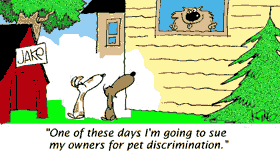 pet cartoon