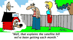 pet cartoon