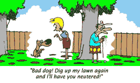 dog cartoon