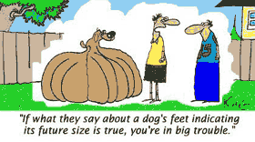 dog cartoon