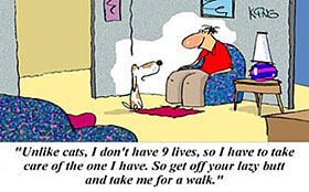 dog cartoon