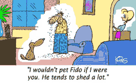 dog cartoon